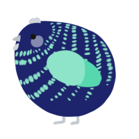 A navy and mint chicken with a bar pattern