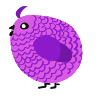 A orchid and violet chicken with a lace pattern