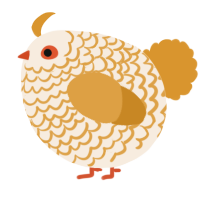 A cream and orange chicken with a lace pattern