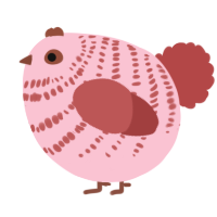 A rose and red chicken with a bar pattern