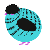 A aqua and black chicken with a bar pattern