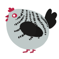 A silver and sable chicken with a half-bar pattern