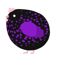A black and violet chicken with a speckle pattern