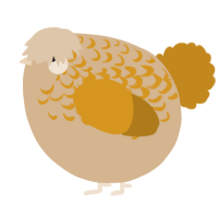 A beige and ochre chicken with a half-lace pattern