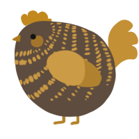 A bark and gold chicken with a bar pattern