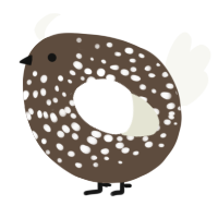 A bark and white chicken with a speckle pattern