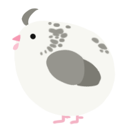 A white and ash chicken with a neck-speckle pattern