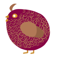 A maroon and brown chicken with a double-lace pattern