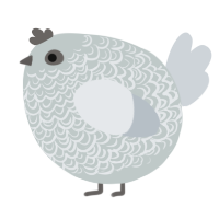 A silver and mist chicken with a double-lace pattern