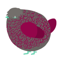 A grey and maroon chicken with a double-lace pattern