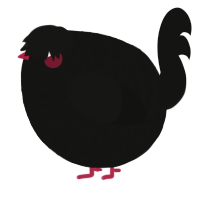 A black chicken with a lace pattern