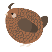 A brown and bark chicken with a lace pattern