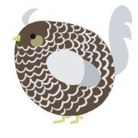 A bark and mist chicken with a lace pattern