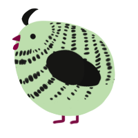 A gluppy and black chicken with a bar pattern