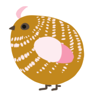A ochre and rose chicken with a bar pattern