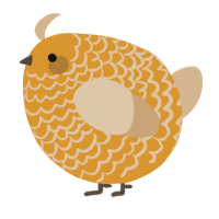 A orange and beige chicken with a lace pattern
