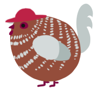 A russet and silver chicken with a bar pattern