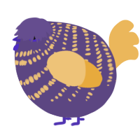 A overcast and honey chicken with a bar pattern