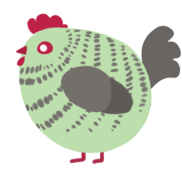 A gluppy and grey chicken with a bar pattern