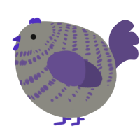 A ash and overcast chicken with a bar pattern