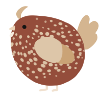 A russet and beige chicken with a speckle pattern