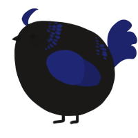 A sable and navy chicken with a neck-band pattern