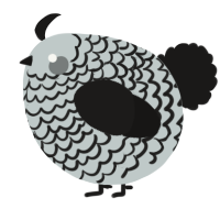 A silver and sable chicken with a lace pattern