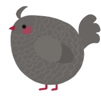 A grey chicken with a lace pattern