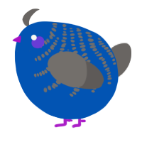 A ultramarine and grey chicken with a half-bar pattern
