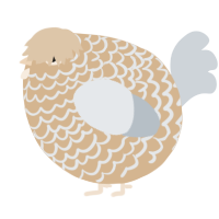 A beige and mist chicken with a lace pattern