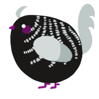 A sable and silver chicken with a half-bar pattern