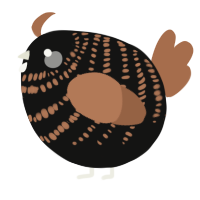 A black and brown chicken with a bar pattern
