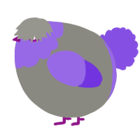 A ash and blurple chicken with a head pattern