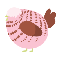 A rose and russet chicken with a bar pattern