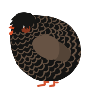 A black and bark chicken with a lace pattern