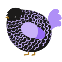 A sable and lilac chicken with a lace pattern