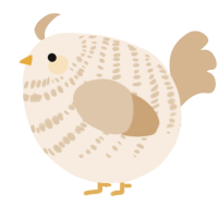 A cream and beige chicken with a bar pattern