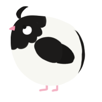 A white and sable chicken with a head pattern