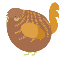 A brown and orange chicken with a half-bar pattern