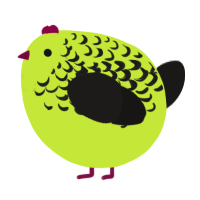 A lime and sable chicken with a half-lace pattern