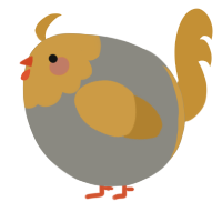 A ash and gold chicken with a head pattern