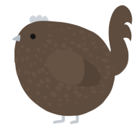 A bark chicken with a speckle pattern