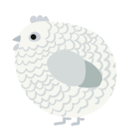 A white and silver chicken with a lace pattern