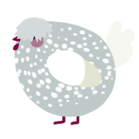 A silver and white chicken with a speckle pattern