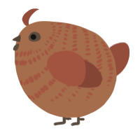 A brown and russet chicken with a bar pattern