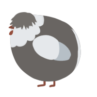 A grey and mist chicken with a head pattern
