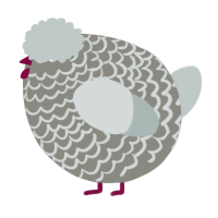 A ash and silver chicken with a lace pattern