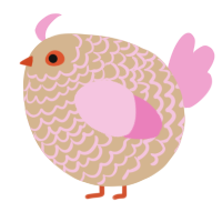 A beige and pink chicken with a lace pattern