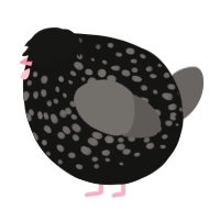 A black and grey chicken with a speckle pattern