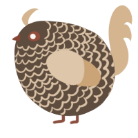 A bark and beige chicken with a lace pattern